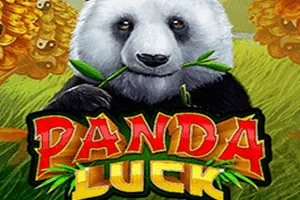 Panda Luck - TROPICANA77
